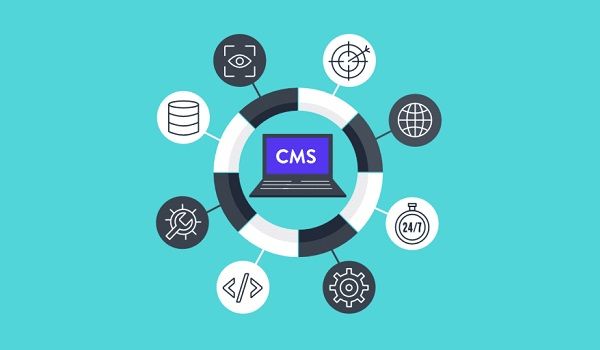 c2ee1743-cms-la-gi-1